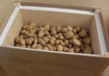Dove e come conservare le patate in un appartamento in modo che i tuberi non si deteriorino e mantengano il loro valore nutrizionale