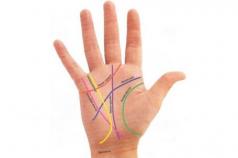 Career, business, money on the palm in palmistry Palmistry lines of work on the hand