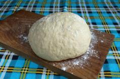 Dough for kefir pies with yeast: the fastest recipes