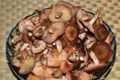 Caviale di funghi chiodini: ricette per preparare il caviale di funghi più delizioso per l'inverno