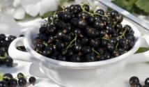 Blackcurrant - composition, benefits and folk recipes Frozen blackcurrant juice