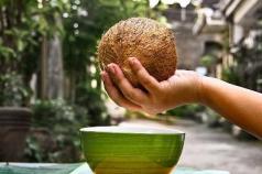 How to open a coconut at home