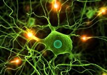 الخصائص الكهربائية للخلايا العصبية