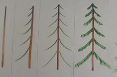 Belajar melukis pokok Pokok yang dilukis dengan pensel tanpa daun