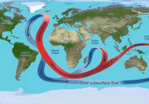 Peta angin dalam talian global