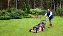 What nuances should you pay attention to before buying a lawn mower?
