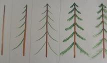 Imparare a disegnare alberi Un albero disegnato a matita senza foglie